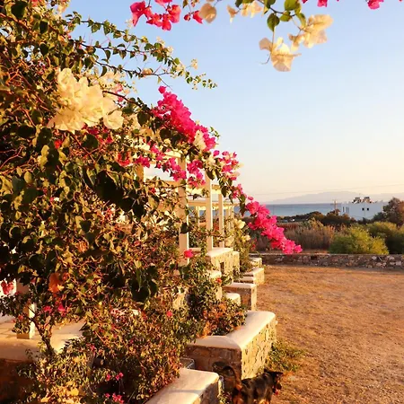 Apartment Sunny Naxos Aliko Beach
