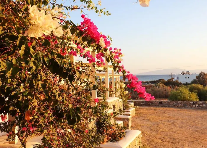 Apartment Sunny Naxos Aliko Beach